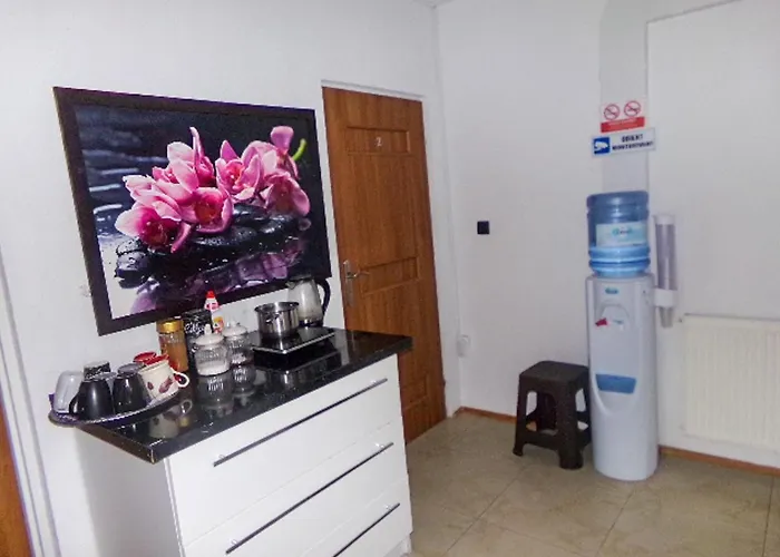 White House - Gościnne *