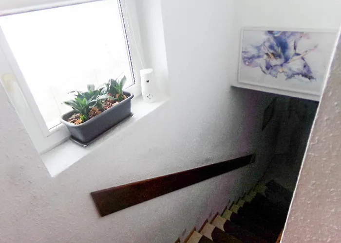 White House - Gościnne *